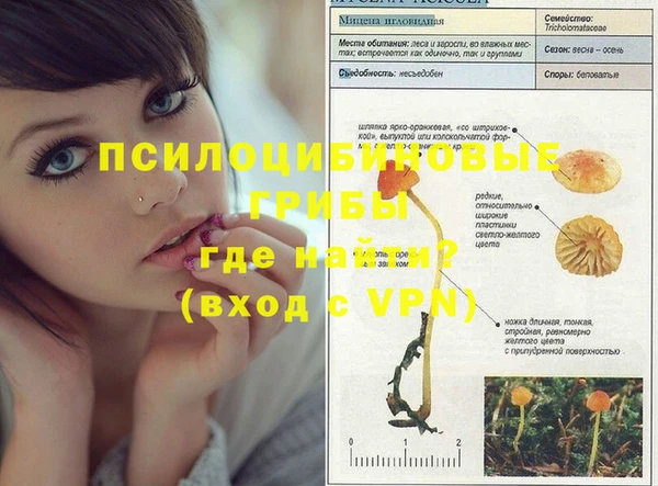 наркотики Абинск