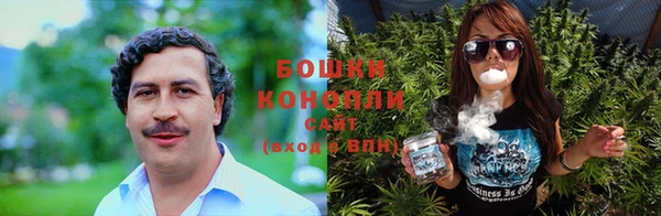 PSILOCYBIN Абаза